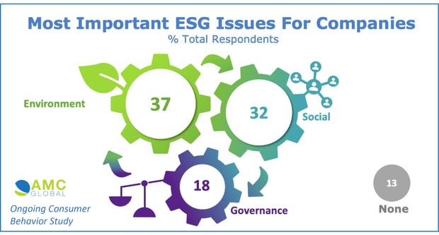 AMC GLOBAL ESG and Consumers-2